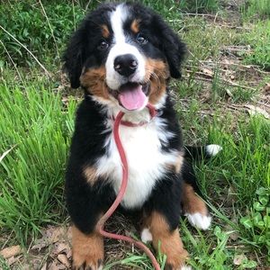 Meet your Posher, Melanie